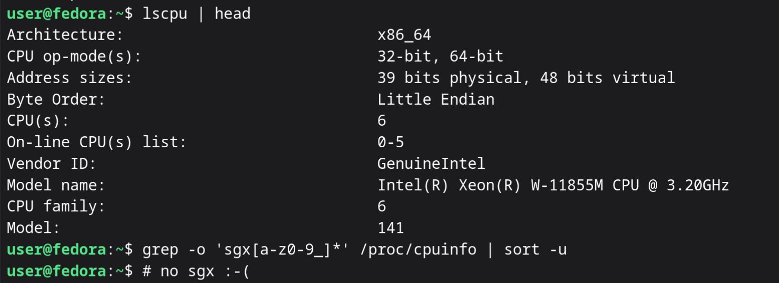 Thinkpad X13 specs in CLI